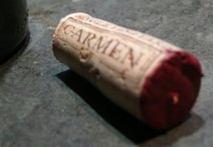Carmen Nativa Cabernet Sauvignon 2005