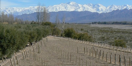 Achaval Ferrer's Finca Altamira