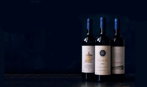 The wines of Tenuta San Guido