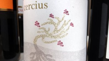 Cotes du Rhone Vieilles Vignes 'Cercius', Michel Gassier 2010